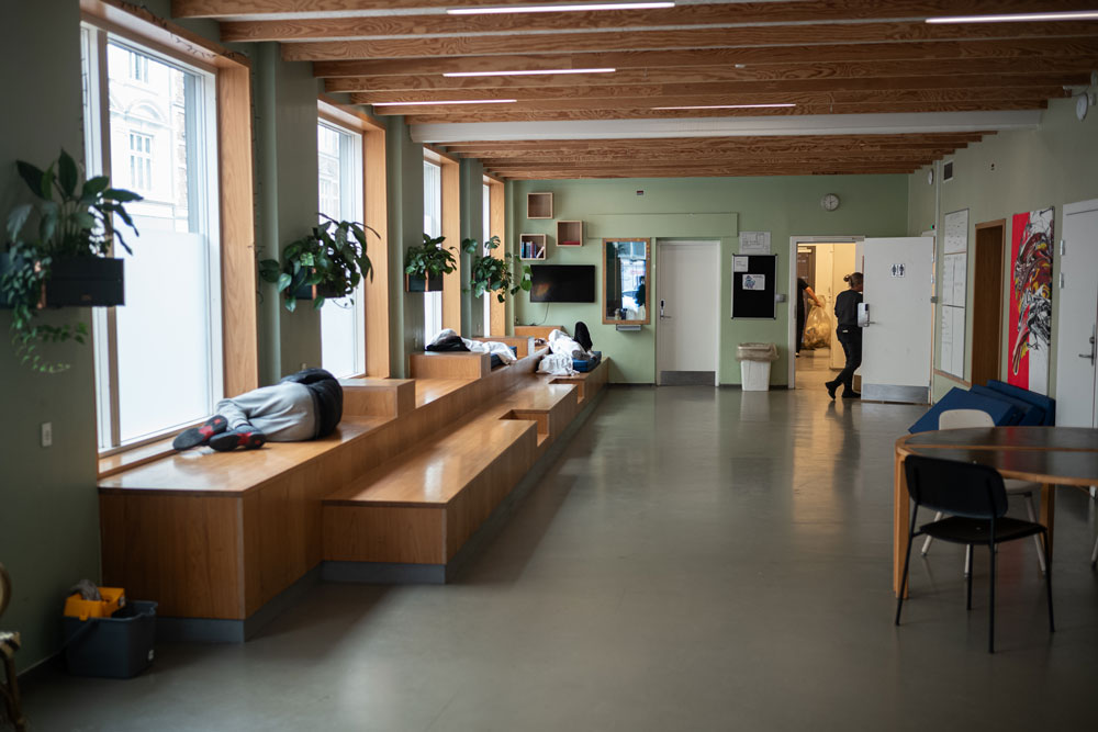 Moderne skolegang med træbænke og indendørs planter, elever studerer eller slapper af i et lyst fællesområde.